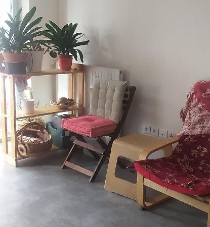 Studio Purpan Apartment Тулуза Екстериор снимка
