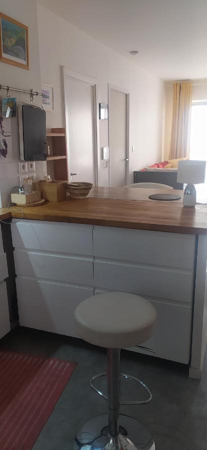 Studio Purpan Apartment Тулуза Екстериор снимка